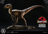 Jurassic Park Prime 1 Studio Velociraptor Statues 1/10 Scale - Closed Mouth