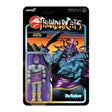 Thundercats Mumm-Ra (Evil Mutant) ReAction Action Figure