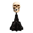 Lord of the Rings Mini Statue: Skull of a Mordor Orc (14cm)