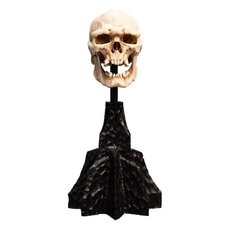 Lord of the Rings Mini Statue: Skull of a Mordor Orc (14cm)