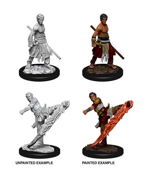 D&D Nolzur's Unpainted Half-Elf Monk Miniatures Case (6)
