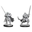 D&D Nolzur's Marvelous Unpainted Miniatures: Half-Orc Paladin Male