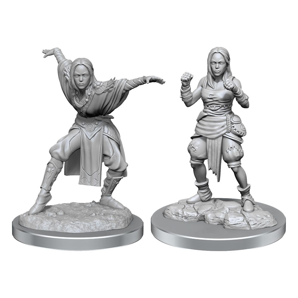Pathfinder Battles Half-Elf Monk Female Miniatures 2-Pack