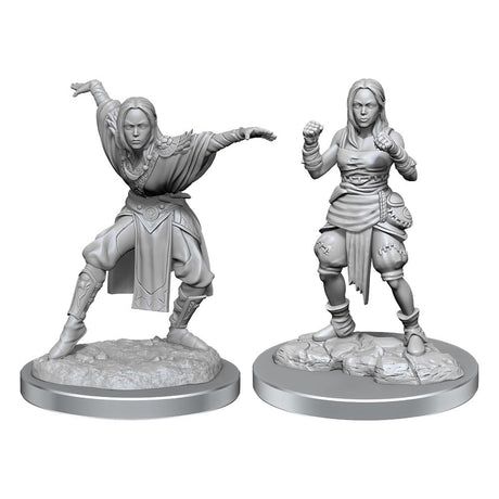 Pathfinder Battles Half-Elf Monk Female Miniatures 2-Pack