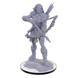 Pathfinder Deep Cuts Unpainted Wood Giant Miniature