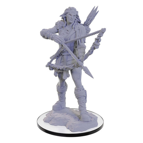 Pathfinder Deep Cuts Unpainted Wood Giant Miniature